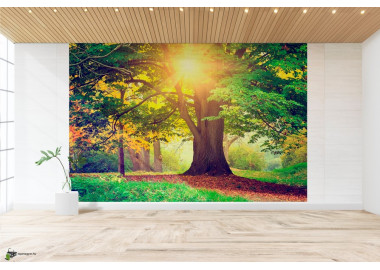 Poszter tájképTPT103